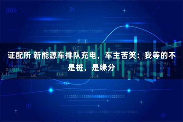 证配所 新能源车排队充电,车主苦笑:我等的不是桩,是缘分
